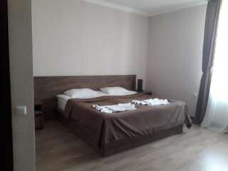 Гостевой дом Hotel Beni Ахалцихе Двухместный номер с 1 кроватью или 2 отдельными кроватями-5